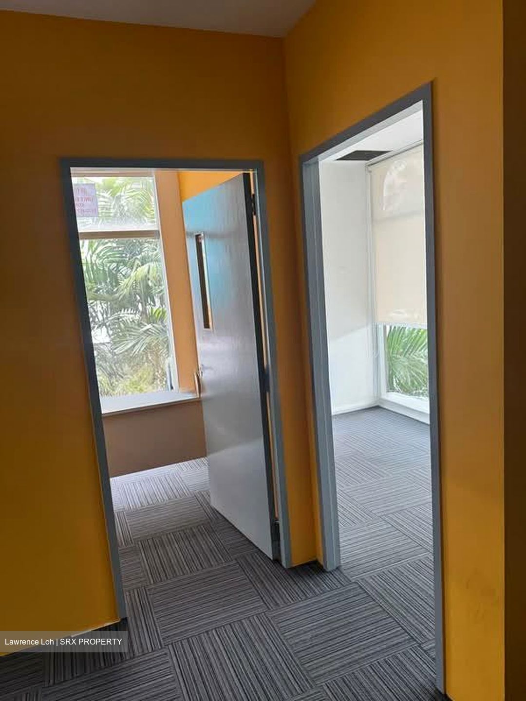 Textile Centre (D7), Office #541243261